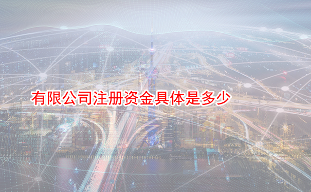 有限公司注册资金具体是多少